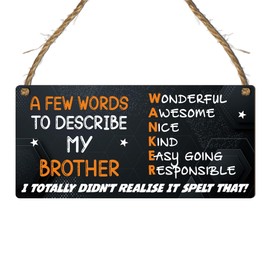 Hilarious Brother Gift Plaque – "A Few Words to Describe My Brother" – Funny Sign with Bold Design, Perfect for Brother’s Birthday, Gag Gift, or Any Celebration – Add Laughter to His Man Cave Decor