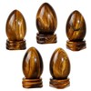 dssmboom Polished Tiger Eye Crystal Egg with Stone Base Healing