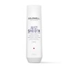 Goldwell Dualsenses Just Smooth Taming Shampoo for Unruly and Restless