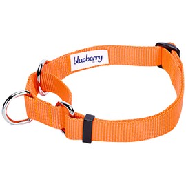 Blueberry Pet 19 Colors Safety Training Martingale Dog Collar, Florence Orange, Small, Heavy Duty Nylon Adjustable Collars for Dogs