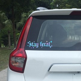 2 x Stay Feral Bumper Sticker Vinyl Decal for Cars Vinyl Sticker Car Bumper Sticker, Goth Car Decor, Goth Car Accessories Trendy & Cute Car/Truck Decals Spooky Car Decor (6in+8in)