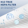 4 Pack 115115 HEPA Replacement Filter A Size 21 Compatible