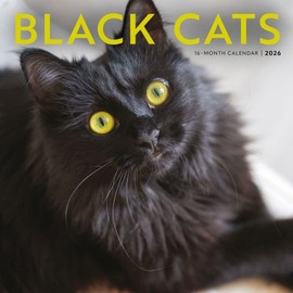 Carousel Calendars, Black Cats 2026 Wall Calendar, 12'' X 12'', 16-Month Calendar with Stapled Binding
