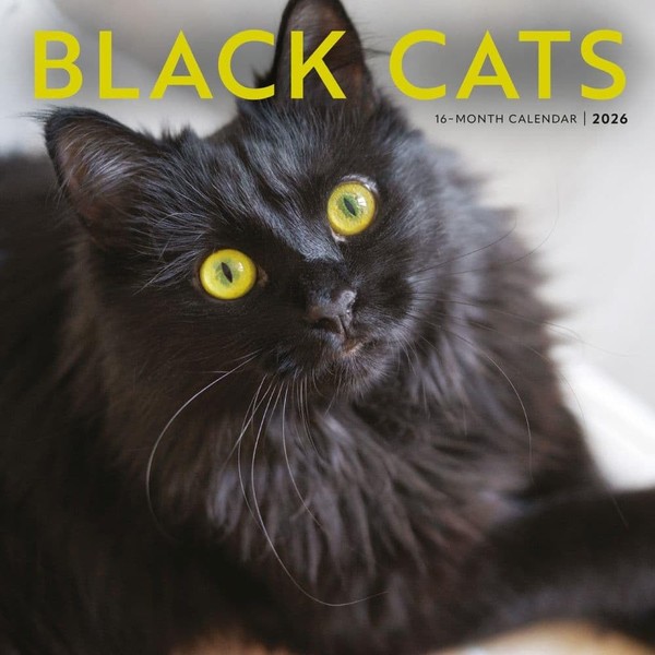 Carousel Calendars, Black Cats 2026 Wall Calendar, 12'' X 12'',