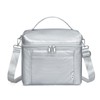 NOL Natural Organic Lifestyle Insulated Lunch Bags for Women Cooler