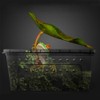 OMEM Portable Reptile Terrarium Habitat for Mini Pet Houses Breathable