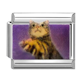 Quiges 9 mm Italian Style Charm Module Stainless Steel Cat for Italian Bracelets, Paper, No Gemstone