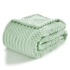 lifein Green Throw Blanket for Couch - Soft Boho Bed