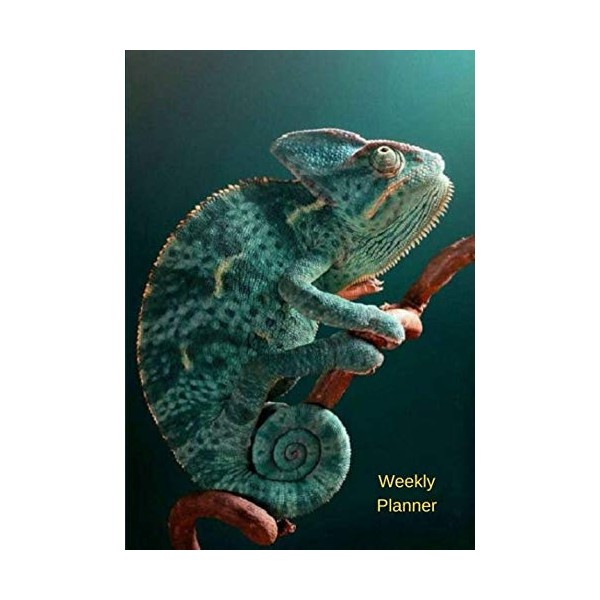 Weekly Planner: Planner|Calendar|Datebook|Agenda|2019|365 days|(7 x 10)| Chameleon Design