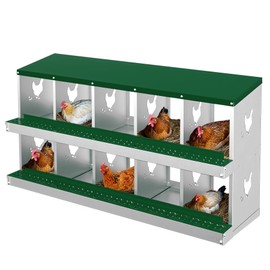 10-Compartment Chicken Nesting Box, Chicken Nesting Boxes for Laying Eggs, Heavy Duty Metal Design for Hens/Ducks, Anti-Peck Rustproof Nest Box, Green