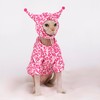 GigglyHouse Sphynx Cat Clothes, Cat Suit with Hat and Sweatshirt,