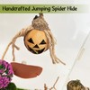 Daerky Jumping Spider Hideout, Handmade Jumping Spider Hideaway, Spider Jumping