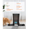 HoneyGuaridan Automatic Cat Feeder for 2 Cats, Automatic Cat Food