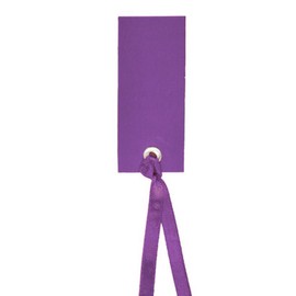 NEU Namensschilder, 3x7 cm, pflaume 12 Stück