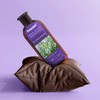Tresan Rosemary Refreshing Shampoo for Oily Hair - Nourishing Volumising