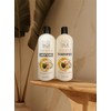 Pro silk salon - Champú Y Acondicionador Dúo - Manteca