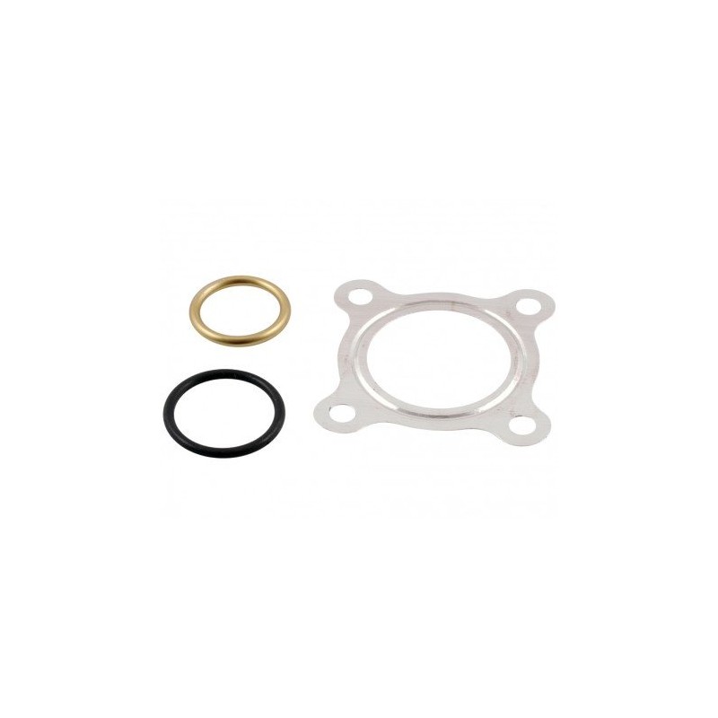 2EXTREME Engine Gasket Set, Compatible with LONGJIA LJ50QT M 2-Stroke
