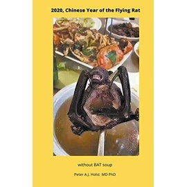The Chinese Year of the Flying Rat