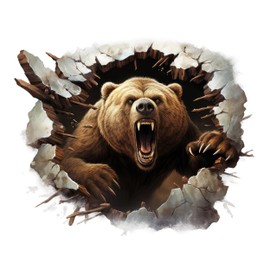 GRAZDesign Coolles Wall Sticker Bear Wall Breakthrough Brown Bear Wall Decoration for Living Room Teenager's Room Boys - 48 x 40 cm