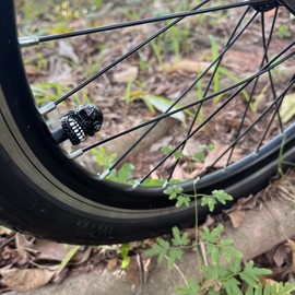 Temzzer Skull Car Tyre Valve Stem Caps 4PC Skeleton Bike Tire Wheel Air Rim Covers for Most Vehicles Bicycles Motorcycles,Red