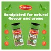 Schwartz Basil 10 G | Jar | Pack of 6