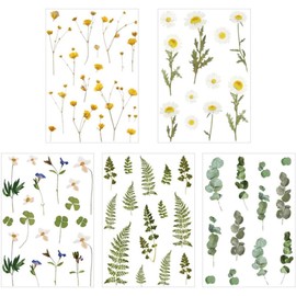 Zerodeko 5 Pegatinas Decorativas para Cuadernos Diy, Calcomanías para Álbumes y Agendas, Diseño Floral y Plantas, Material Adhesivo, Adecuado para Manualidades Creativas Estilo Aleatorio