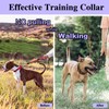 Dog Training Collar and Dog Whistle Set Stainless Steel No