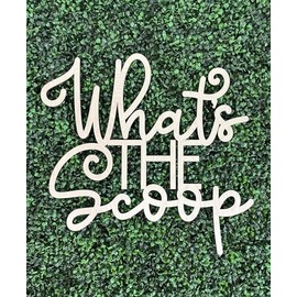 What's The Scoop Sign for Backdrop,Wooden Ice Cream Gender Reveal Party Decorations for Baby Shower Party Pregnancy Announcement Sign