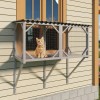 Cat Window Perch for Large Indoor Cats