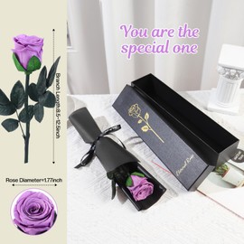 FRFG Eternal Rose, Preserved Natural Rose with Stem Gifts for Women, Anniversary Birthday Gift Mother's Day Valentine's Day for Mom Girlfriend Women (Purple Lavender)