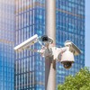 Mast Mount: Vertical Mast Mount 3 Loops Stainless Steel Corner