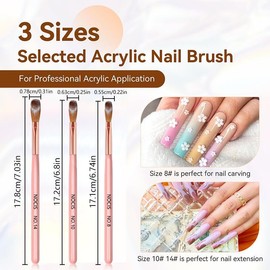 Nail Art Brush Pen Set, 3 Counts/box Manicure Pen Pull Line Pen, Acrylic Powder Brush Pen, Nail Polish Painting Brush Pen, Professional Manicure Tool for Home & Salon Use, Valentine's Day Gift