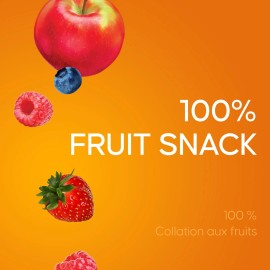 Sun-Rype Products Ltd. SunRype Fruit to Go Fruit Bars, 3 Flavors, 24x14g/0.5 oz. Bars, 336g/12 oz