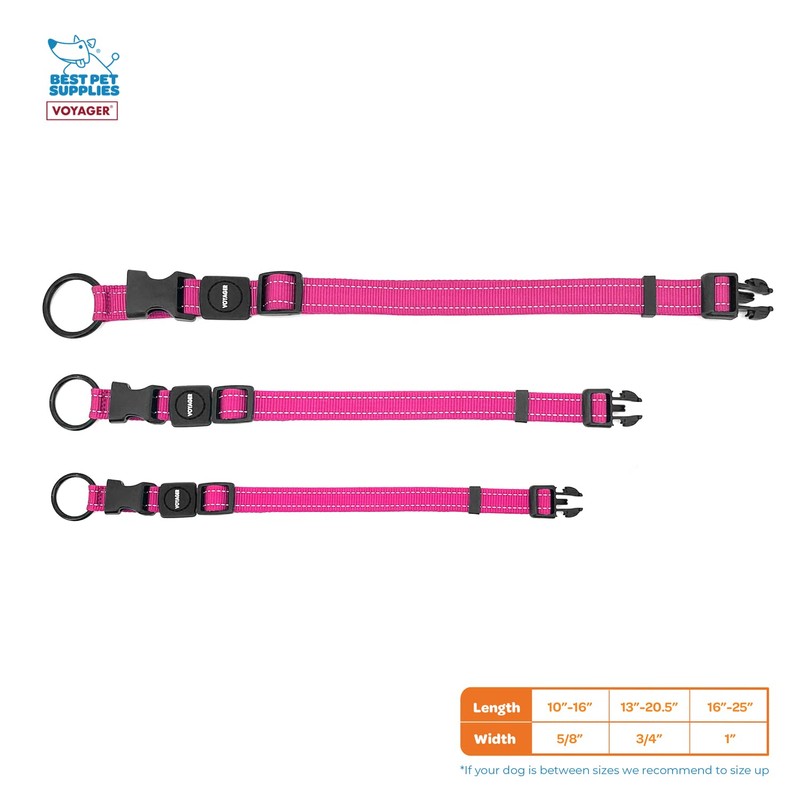 Best Pet Supplies Voyager Reflective Dog Leash or Collar with