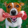 Unbranded Dog Chew Toys for Aggressive Chewers Large Breed Rubber