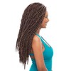 Janet Collection Noir 2X Mambo Twist Braid 24" (M1B/33)