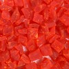 Smarty Stop Dried Fruits Great Healthy Snack (Dried Papaya Chunks,