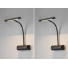 Set of 2 Dimmable Picture Lights with Flexible Arm Matte