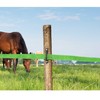 RiteFENCE Electric Fence Wood Post Polytape Insulator Nail on PolyTape