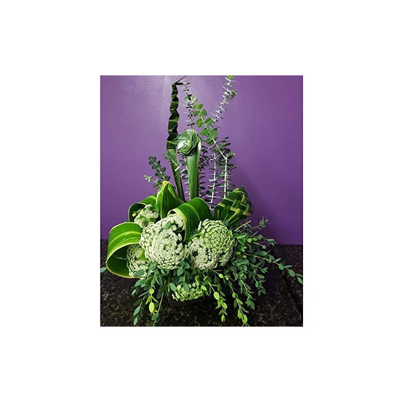 Leafshine Abrillantador para follajes y plantas