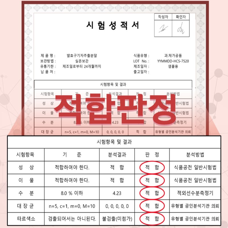 Domestic fermented Cheongyang goji berry powder 500g / 국산 발효