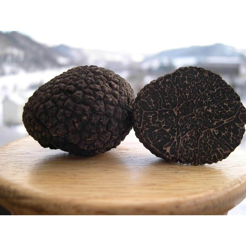 Spoers Black Truffle Mushrooms Dried Mycelium Seeds Spawn Substrate for