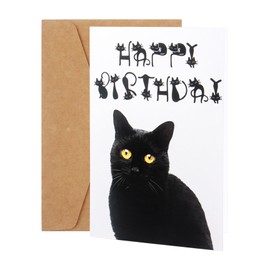 Black Cat Birthday Card, Cute Birthday Card for Cat Lover, Funny Happy Birthday Card Cat with Envelope for Her or Him