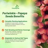 Outsidepride Papaya Periwinkle Seeds for Planting – 100 Pcs Annual,