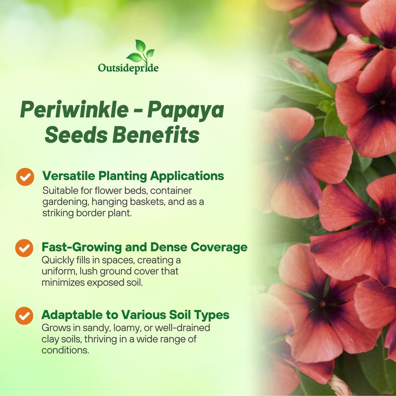Outsidepride Papaya Periwinkle Seeds for Planting – 100 Pcs Annual,
