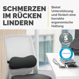 Fellowes Breyta Lumbar Cushion - Ergonomic Back Support, Adjustable Strap, Compact & Portable, Environmentally Friendly Materials, Ideal for Office & Home