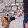 Virbac Nutri-Plus Gel Suplemento Nutricional 120g Perros y Gatos