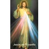 Jesus, en Ti Confio Spanish LAMINATED Holy Card (5-pack) with