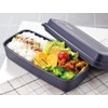 Thermos DJO-600 NVY Lunch Box, Fresh Lunch Box, 20.3 fl