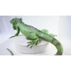 Dillon Iguana, Lizard, Museum Quality, Foam Rubber Reptile, Toy, Educational,